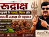 रुद्राक्ष पहनने के फायदे, नियम और असली रुद्राक्ष की पहचान Rudraksh Pehnne Ke Fayde
